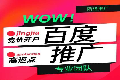 成功案例：托管SEM竞价在金融行业的应用